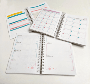 Agenda entrenadora gimnasia rítmica